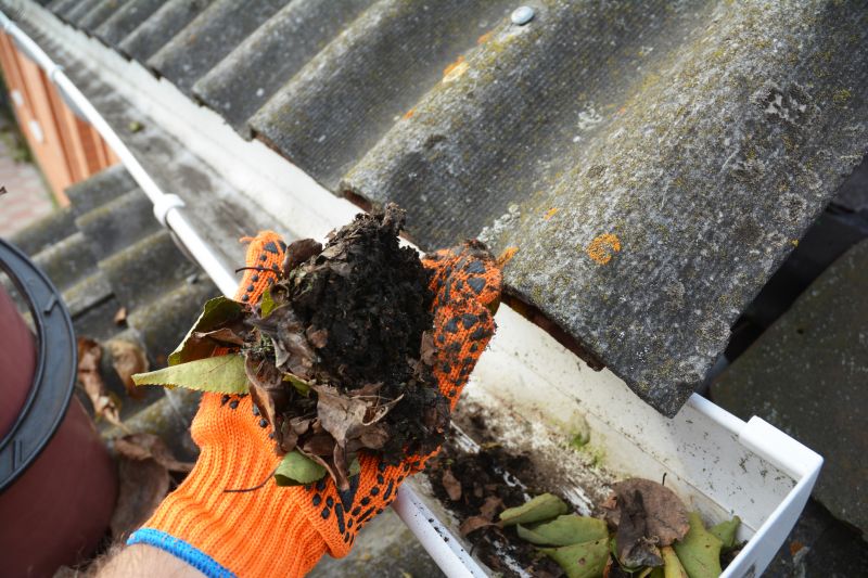 Commercial Gutter Cleaning in Roseville, CA