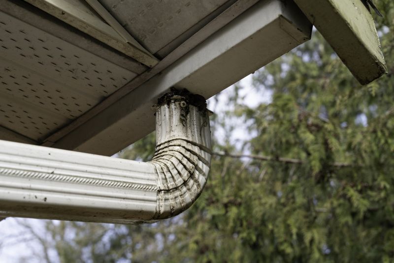 Eavestrough Clearing in Rochester, NY