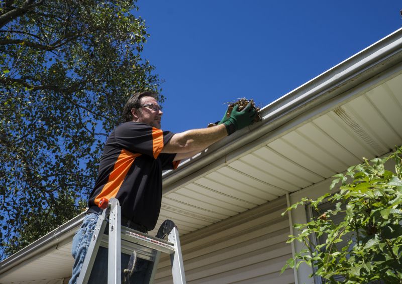 Eavestrough Clearing in Annapolis, MD