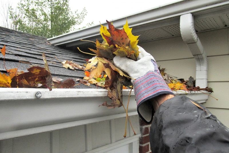 Blocked Gutter Cleaning detail