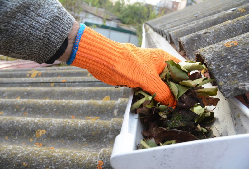 Gutter Cleaning in Frederick, MD