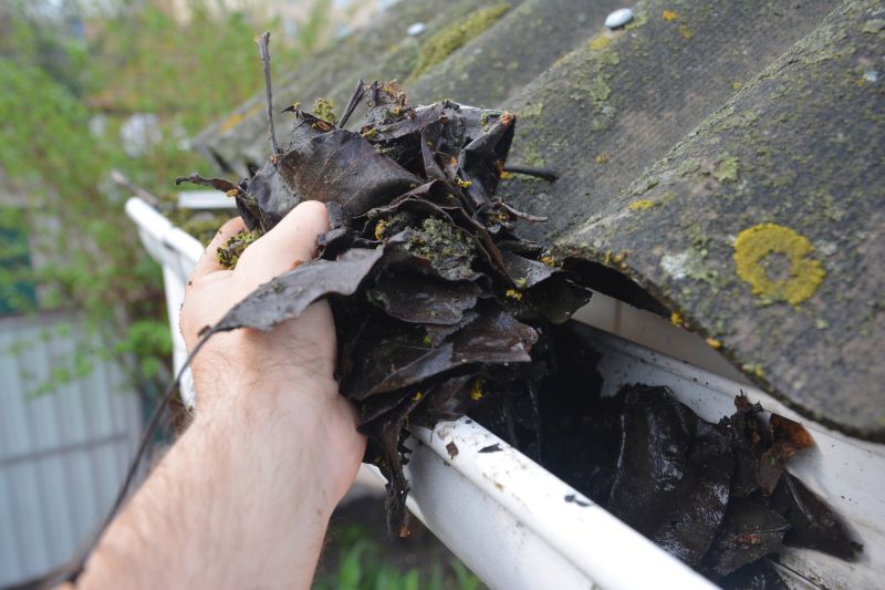 Gutter Leaf Clearing in Pittsburgh, PA