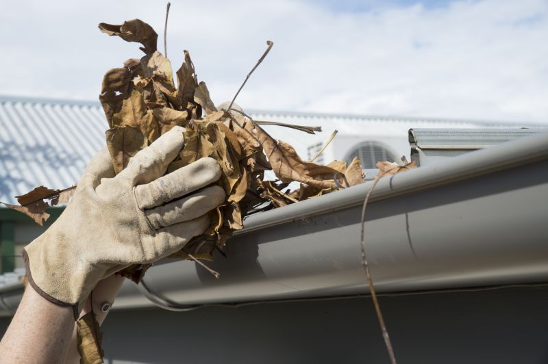 Gutter Leaves Removal in Boulder, CO