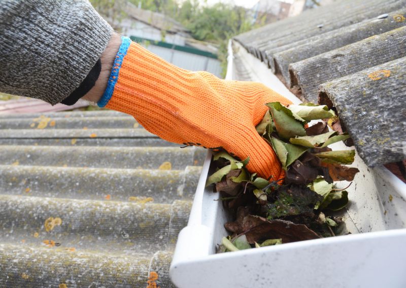 Industrial Gutter Cleaning in Denver County, CO