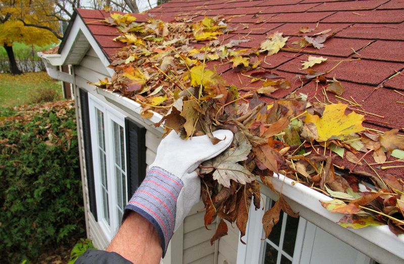 Rain Gutter Clearing in Annapolis, MD