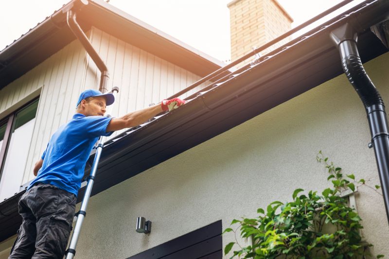 Roof Gutter Cleaning in Pittsburgh, PA