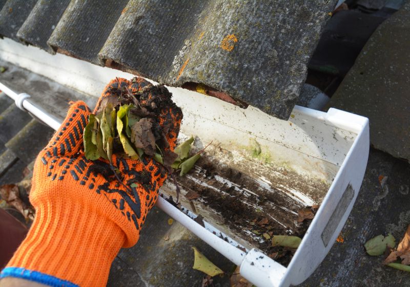 Roof Gutter Cleaning in Baltimore, MD