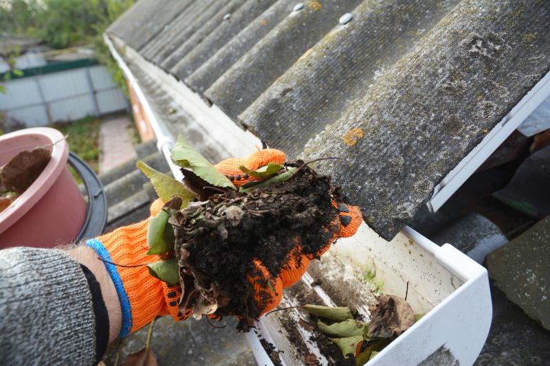 Roof Gutter Cleaning in Annapolis, MD