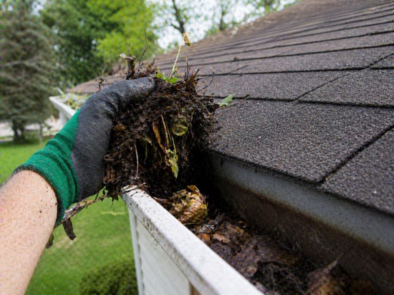 Gutter Leaf Clearing in Rochester, NY